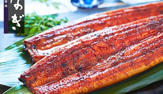 【ふるさと納税】うなぎ 総合ランキング 1位 国産 うなぎ  鰻  訳あり 高級 ウナギ unagi 蒲焼 鹿児島 大崎町 ふるさと 人気 送料無料