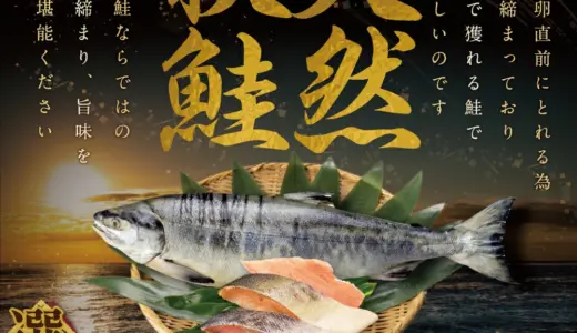 ふるさと納税で人気の北海道別海町の訳あり秋鮭切り身（無塩）の魅力とは？