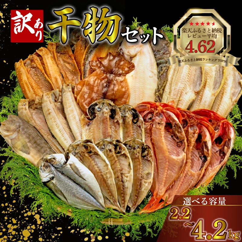 静岡の魅力！沼津港で味わう絶品鯵と鯖の焼き魚体験