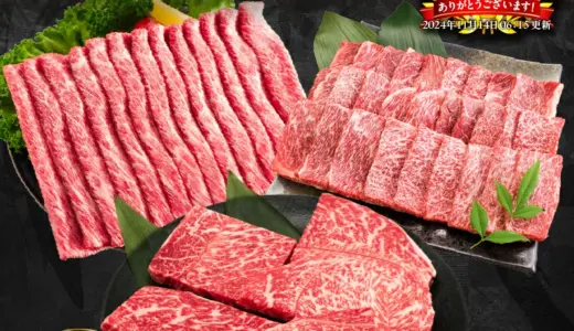 【ふるさと納税】リピーター続出!!《総合ランキング1位獲得》宮崎県日南市「選べる宮崎牛 厳選赤身」ステーキ・焼肉・スライスセット【数量限定・小分け・送料無料】