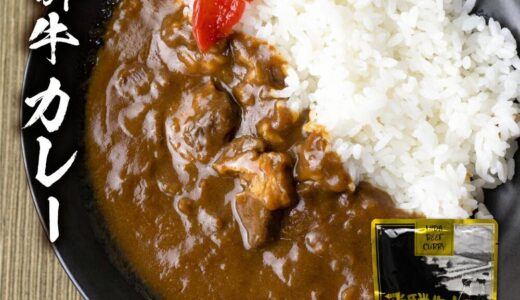 【ふるさと納税】【発送時期が選べる】飛騨牛カレー（12袋）岐阜県高山市からお届け！