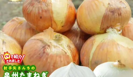 【ふるさと納税】大阪府泉佐野市より　全国1位獲得！高評価4.58★「射手矢さんちの泉州たまねぎ」