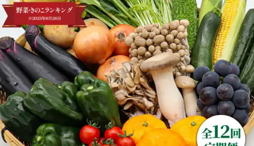 【ふるさと納税】【12回定期便】長崎・南島原市より！豪華15品目以上の野菜セット♪